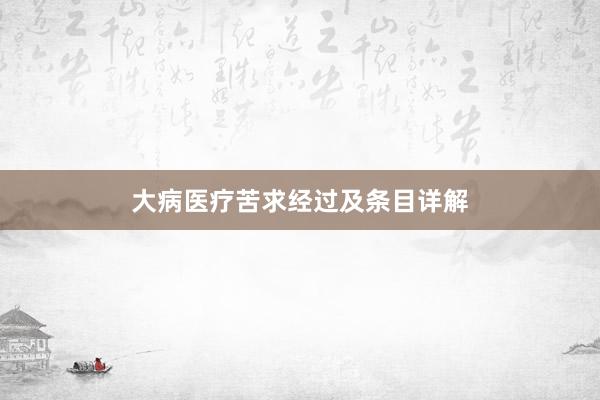 大病医疗苦求经过及条目详解