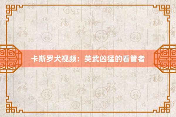 卡斯罗犬视频：英武凶猛的看管者