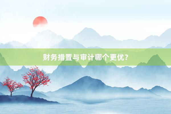 财务措置与审计哪个更优？