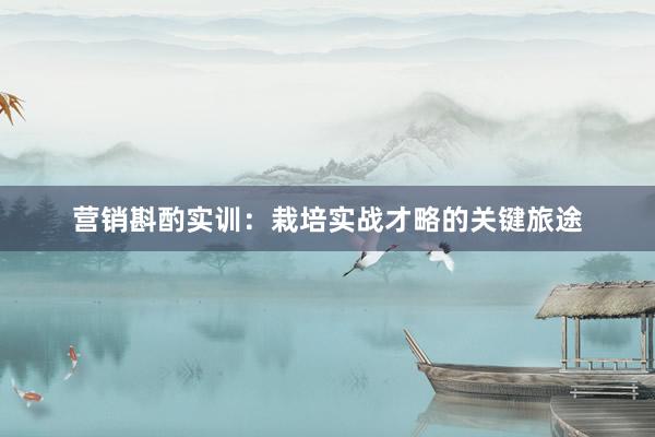 营销斟酌实训：栽培实战才略的关键旅途