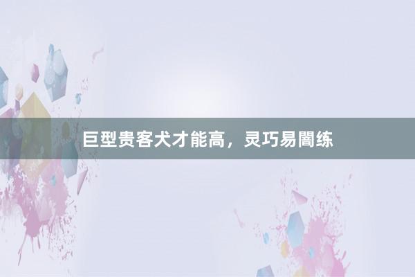 巨型贵客犬才能高，灵巧易闇练